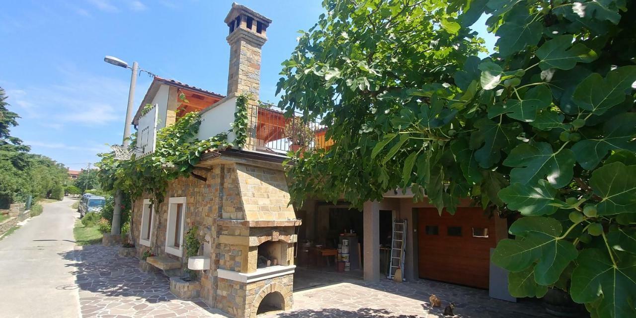 Kmetija Jogan, Wines & Apartments Pobegi 外观 照片