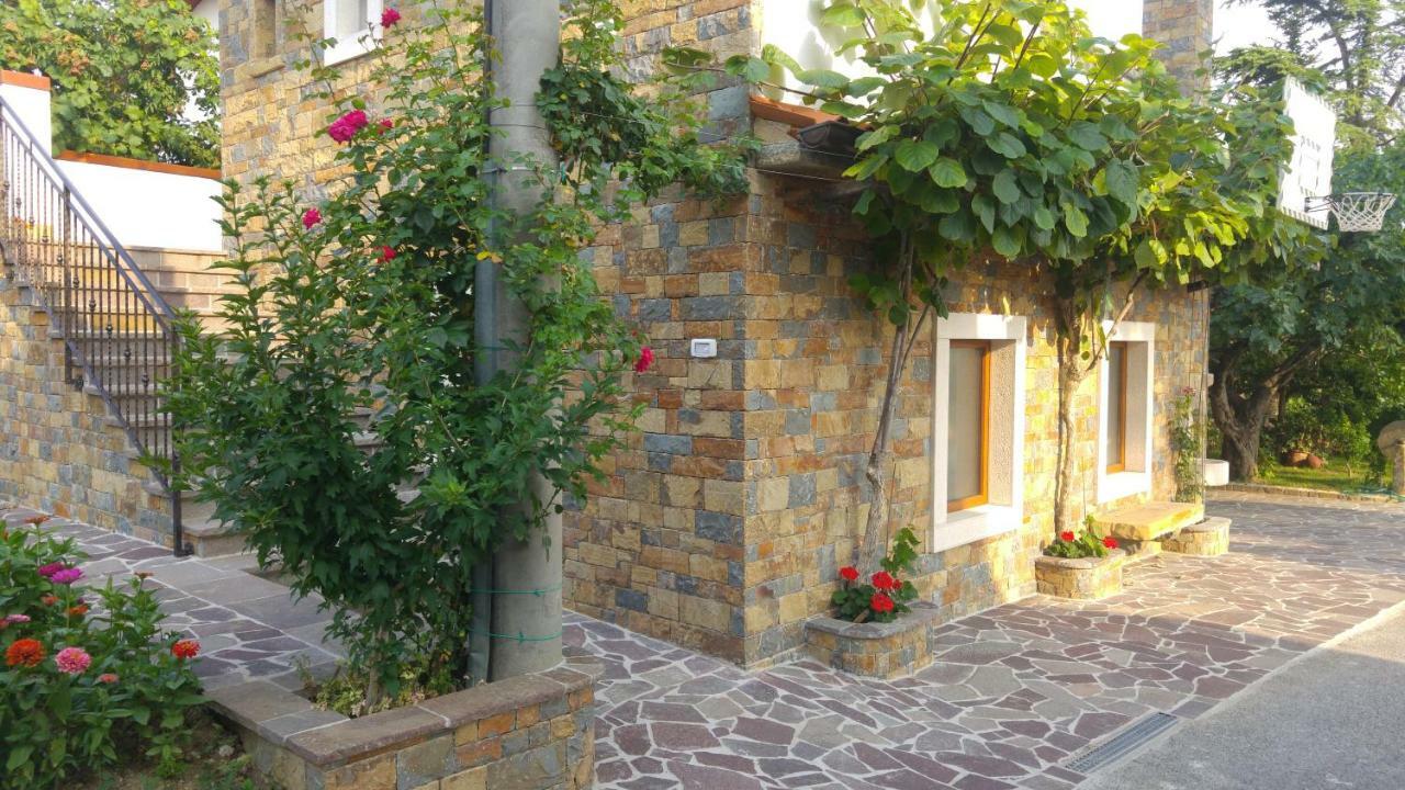 Kmetija Jogan, Wines & Apartments Pobegi 外观 照片
